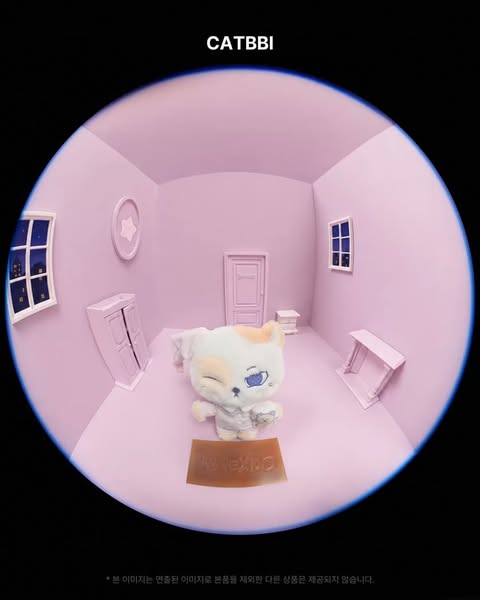 보이넥스트도어