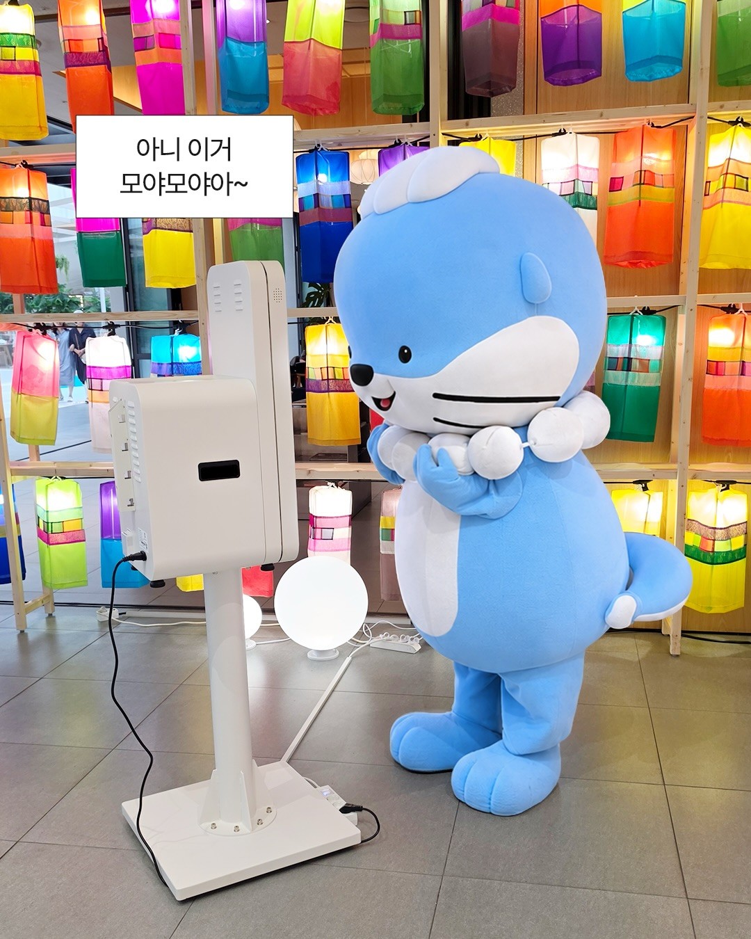 하모