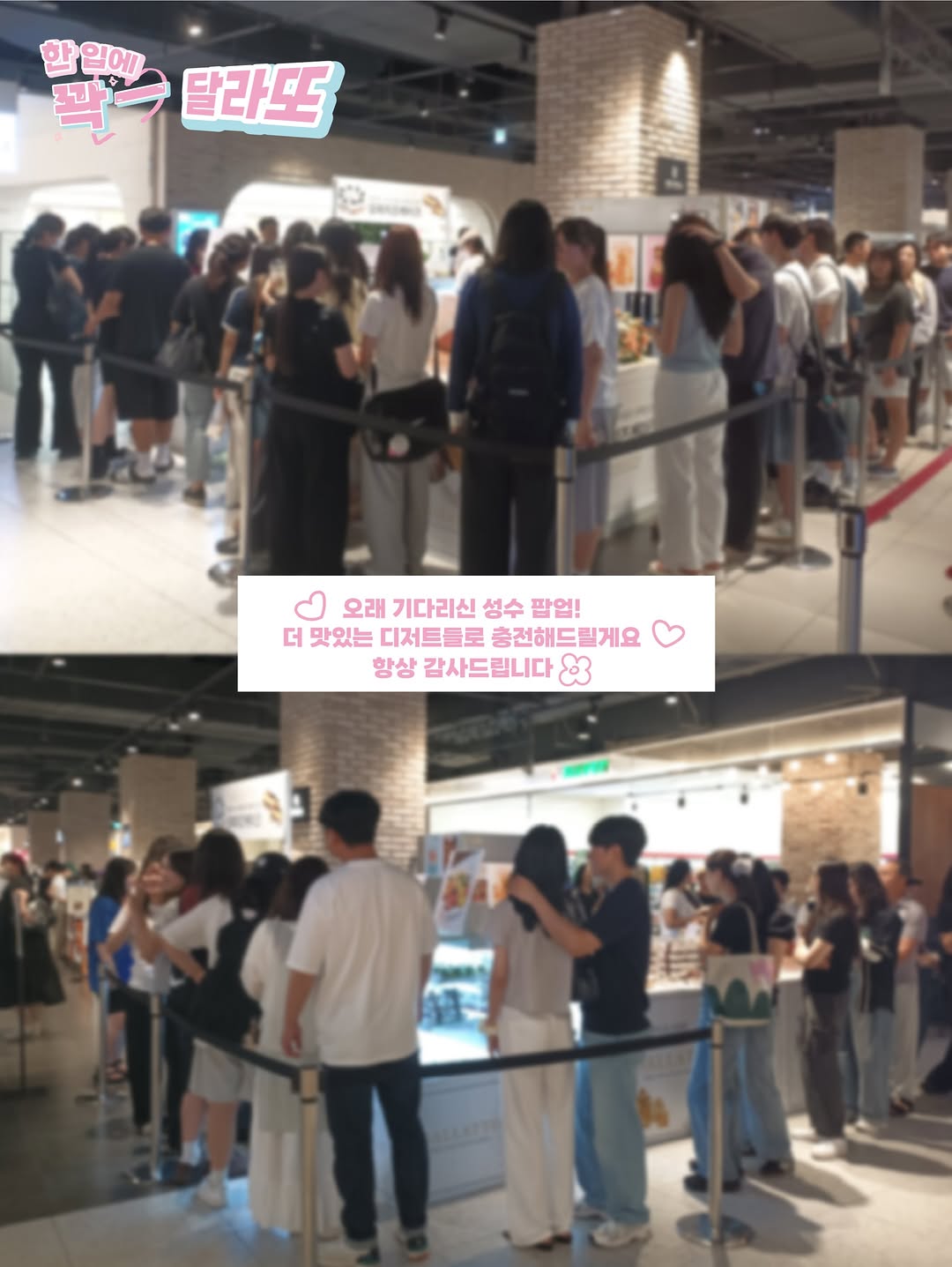 달라또