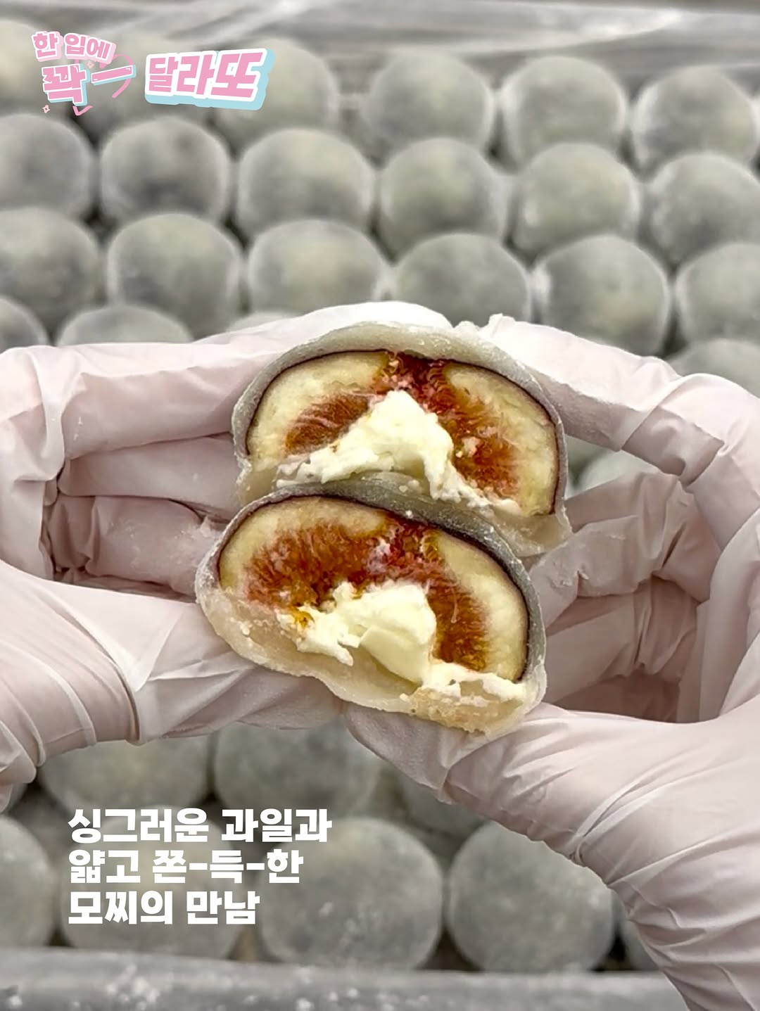 달라또