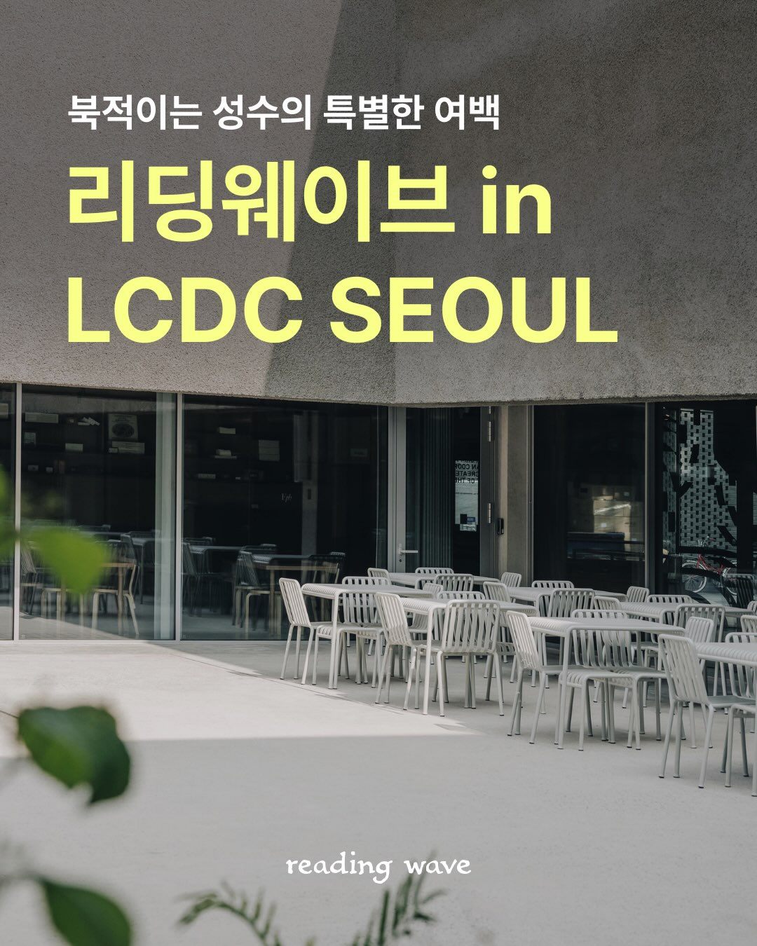 리딩웨이브 in 성수