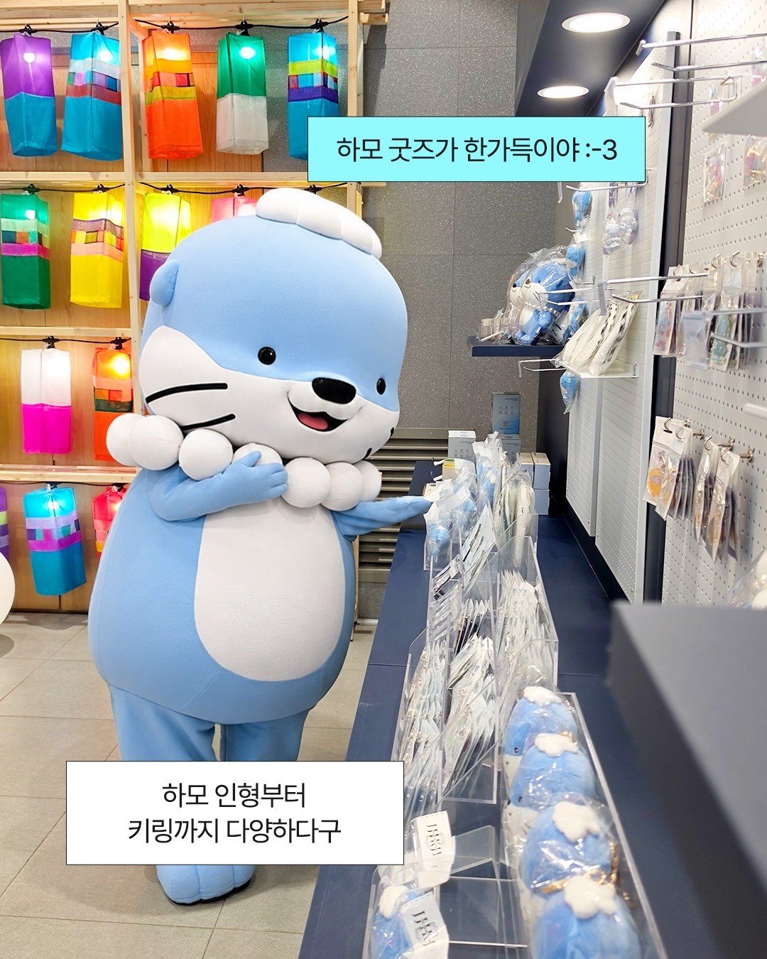 하모