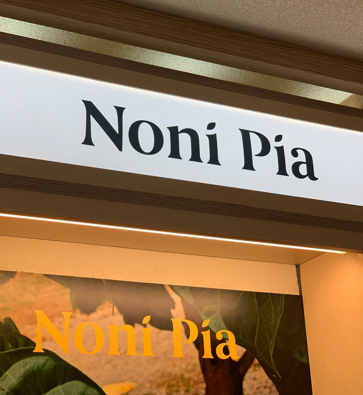 노니피아 팝업 NONIPIA in AVEKCHERI in 이태원