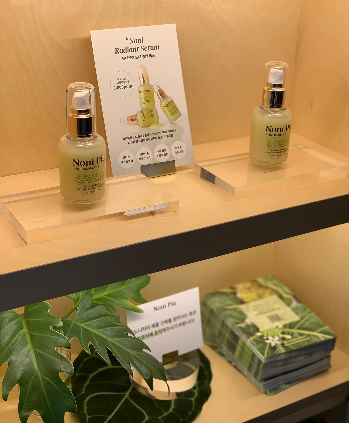 노니피아 팝업 NONIPIA in AVEKCHERI in 이태원
